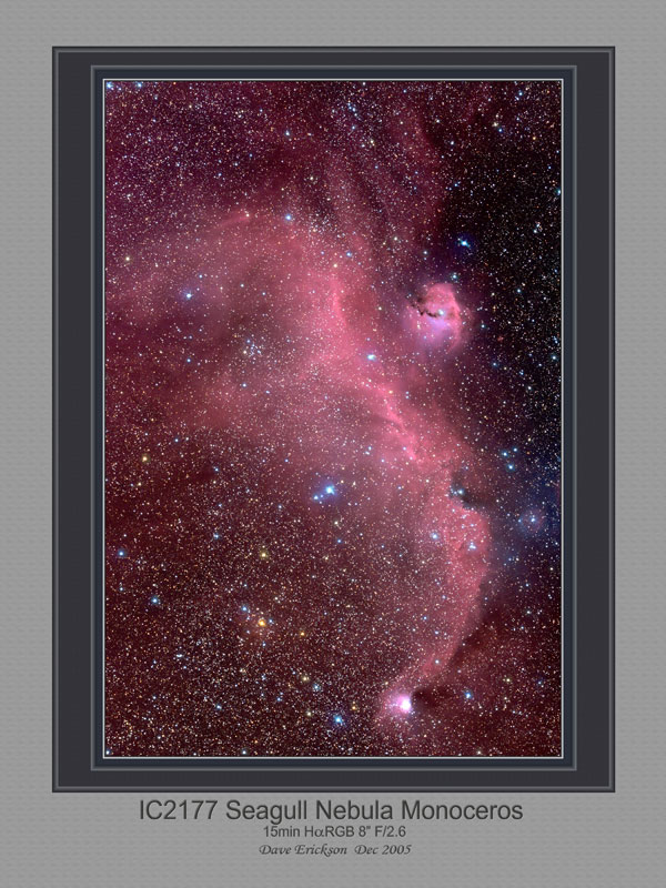 IC2177 Seagull Nebula